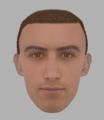 Efit released after theft of laptop