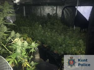Cannabis factory in Dover