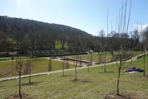 Lottery funding bears fruit with historic orchard restoration